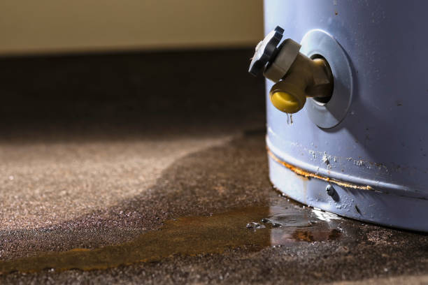 Best Mold removal after water damage  in Redwood, OR