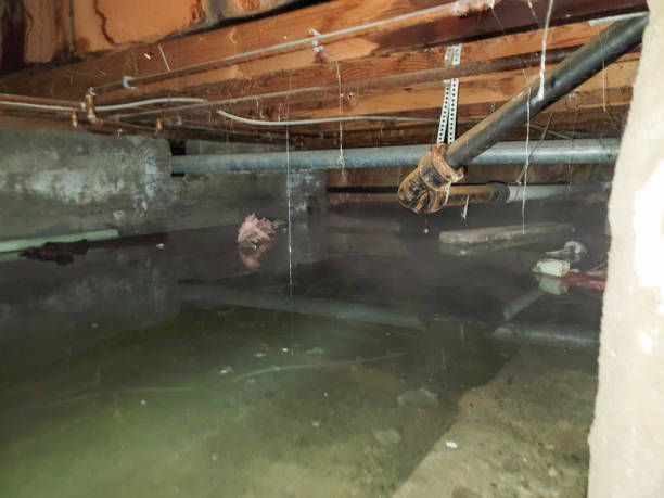 Best Flood restoration services  in Redwood, OR