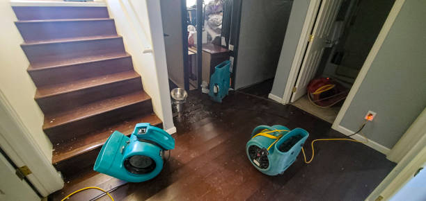  Redwood, OR Water damage restoration Pros