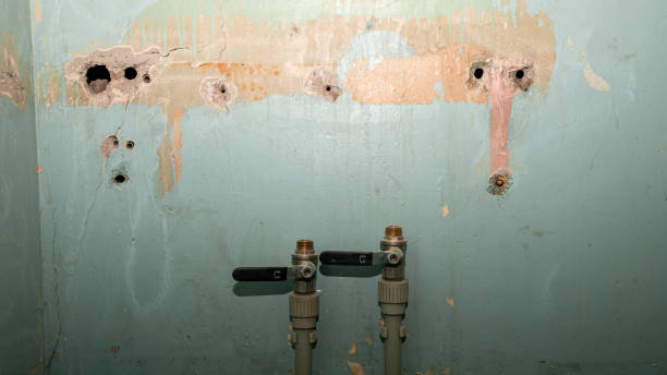 Best Water damage mitigation services  in Redwood, OR