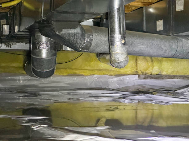 Best Water damage cleanup near me  in Redwood, OR