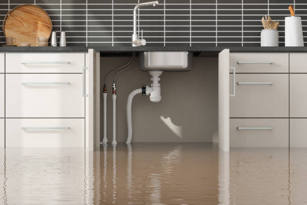 Best Water damage restoration near me  in Redwood, OR